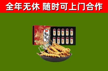 朝阳市回收冬虫夏草价格